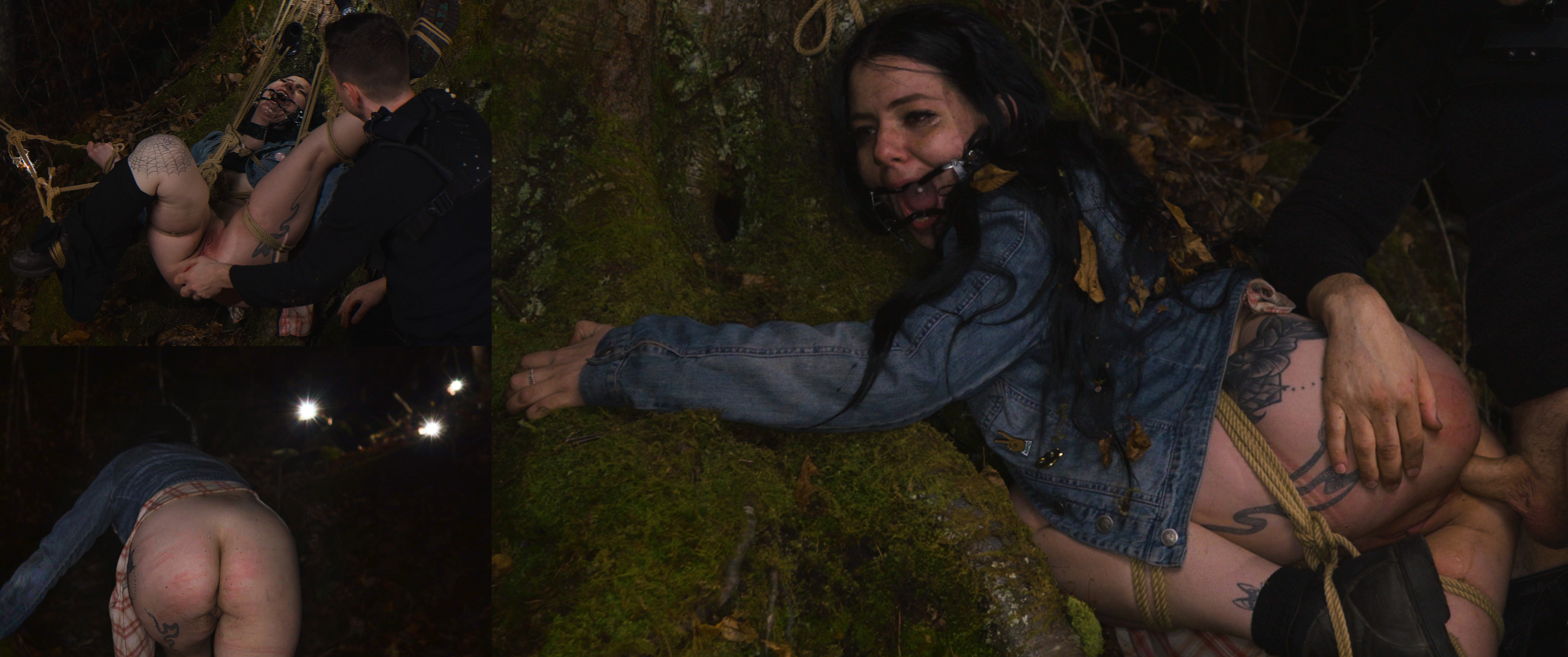 A Bell Jar in the Forest